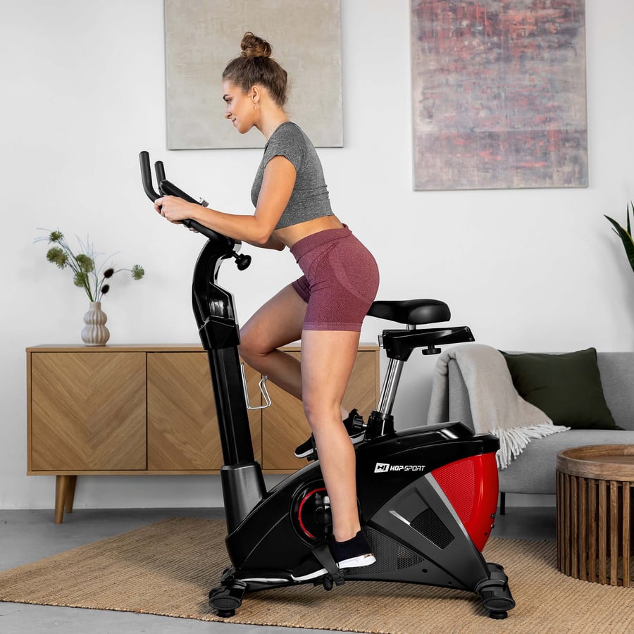 Rower elektryczno-magnetyczny H