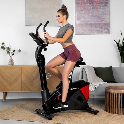Rower elektryczno-magnetyczny H