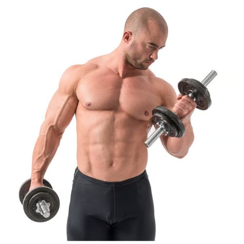 Muscular man lifting two Hop-Sport adjustable dumbbells during bicep workout