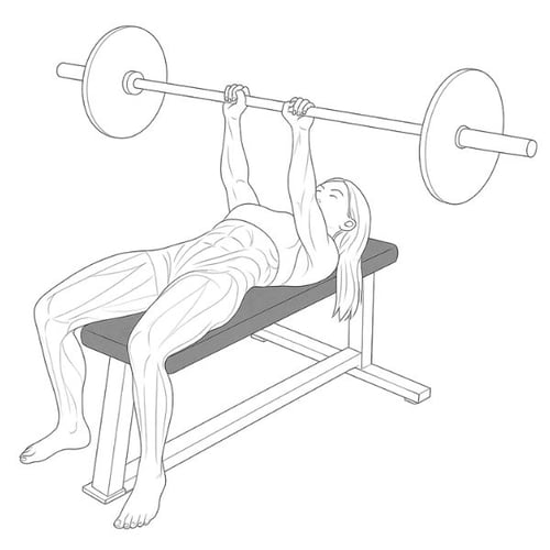 Close grip bench press barbell exercise illustration