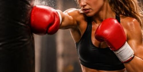 What Are the Different Types of Punching Bags?