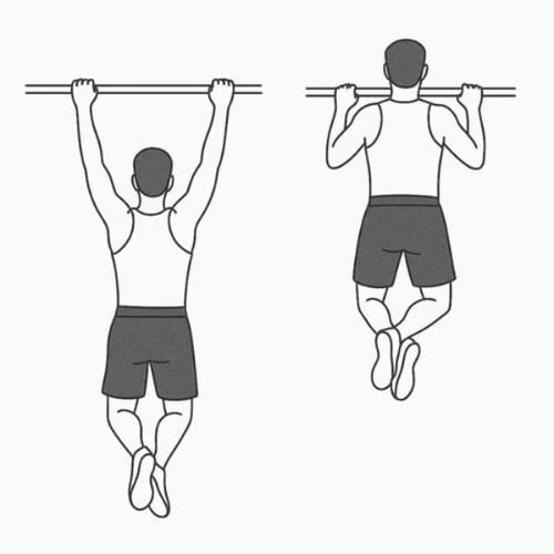 Pull up exercise diagram front and top positions