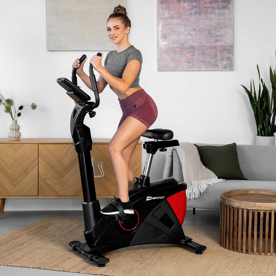 Rower elektryczno-magnetyczny H