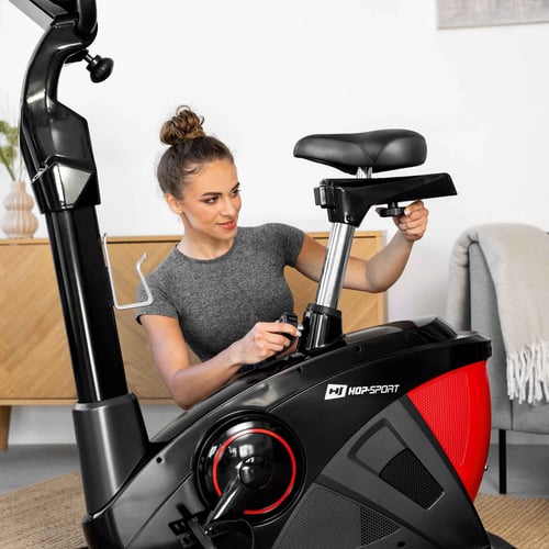 Rower elektryczno-magnetyczny H